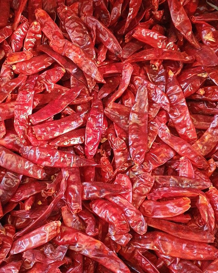 Byadgi Chilli